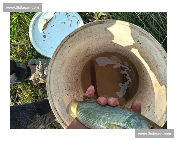 手杆钓鱼比赛技巧与策略分析提升竞技水平的实战经验分享 手杆钓鱼比赛技巧与策略分析提升竞技水平的实战经验分享